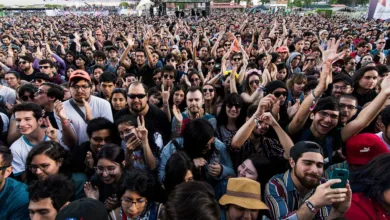 fauna primavera pudumusica.cl
