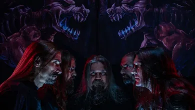 dismember pudumusica.cl