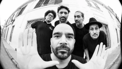 fauna primavera 2023 pudumusica.cl