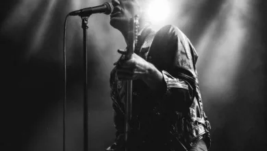 Alex Anwandter PuduMúsica.cl